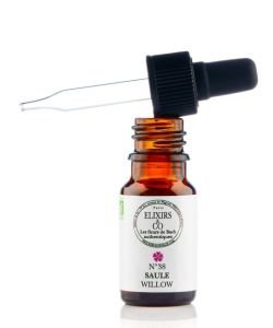 Willow (No. 38) BIO, 10 ml